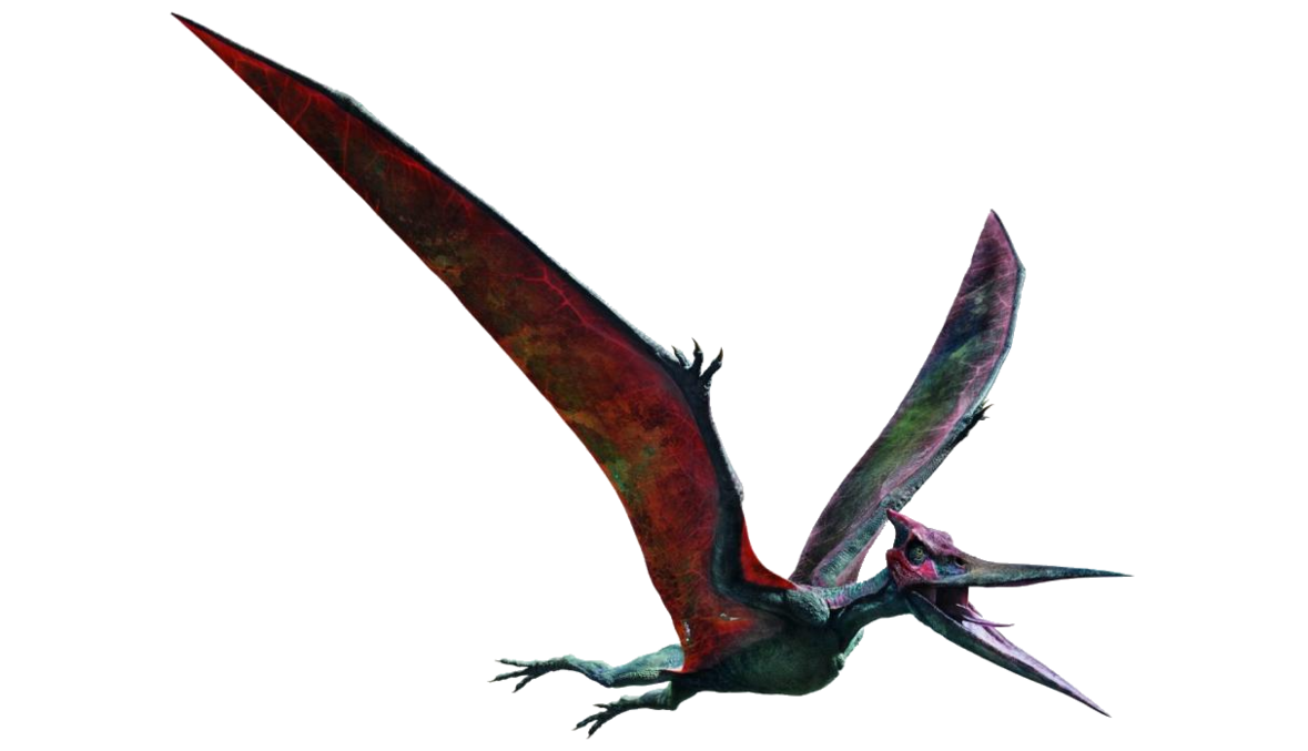  Kích thước khổng lồ: Pteranodon có sải cánh lên đến 7 mét, lớn hơn nhiều loài chim hiện đại, nhưng trọng lượng vẫn nhẹ nhờ cấu trúc cơ thể đặc biệt. Ảnh: Pinterest.