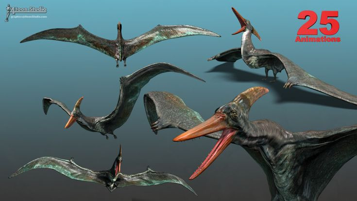  Tuổi thọ ngắn: Pteranodon có tuổi thọ tương đối ngắn, chỉ từ 4 đến 5 năm. Ảnh: Pinterest.