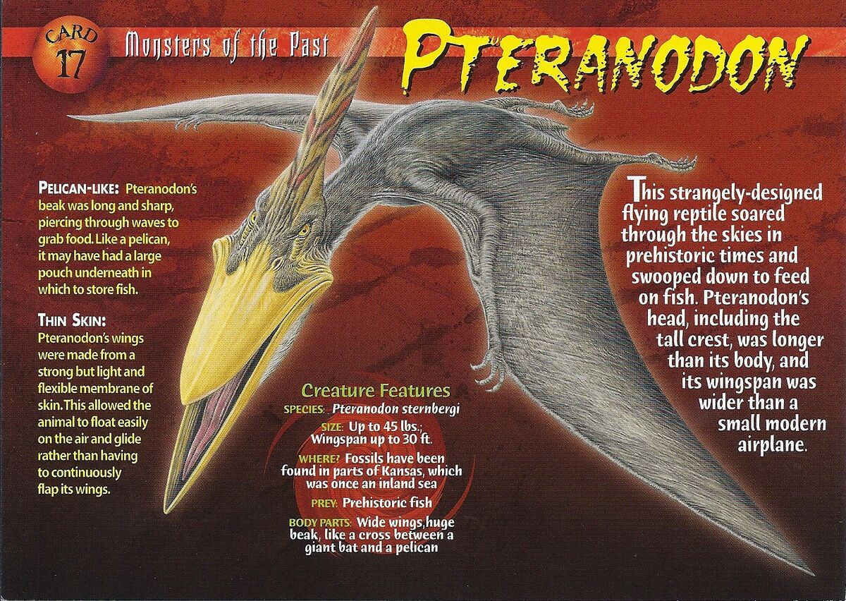  Không có răng: Tên gọi "Pteranodon" có nghĩa là "cánh không răng" (tiếng Hy Lạp: pteron là cánh và anodon là không răng), vì chúng không có răng trong hàm. Ảnh: Pinterest.