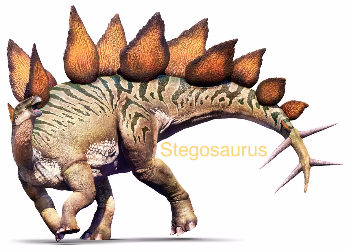  12. Phân bố địa lý. Hóa thạch của Stegosaurus chủ yếu được tìm thấy ở Bắc Mỹ, đặc biệt là ở Colorado, Utah, và Wyoming. Một số hóa thạch cũng được phát hiện ở châu Âu và châu Á. Ảnh: Pinterest.