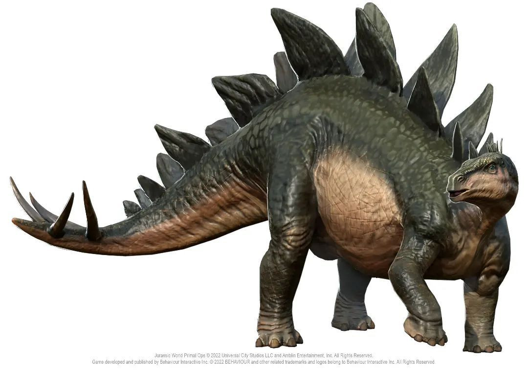  2. Chức năng của tấm xương. Mục đích của các tấm xương vẫn còn gây tranh cãi. Một số giả thuyết cho rằng chúng giúp điều hòa nhiệt độ cơ thể, trong khi những người khác nghĩ rằng chúng được dùng để đe dọa kẻ thù hoặc thu hút bạn tình. Ảnh: Pinterest.