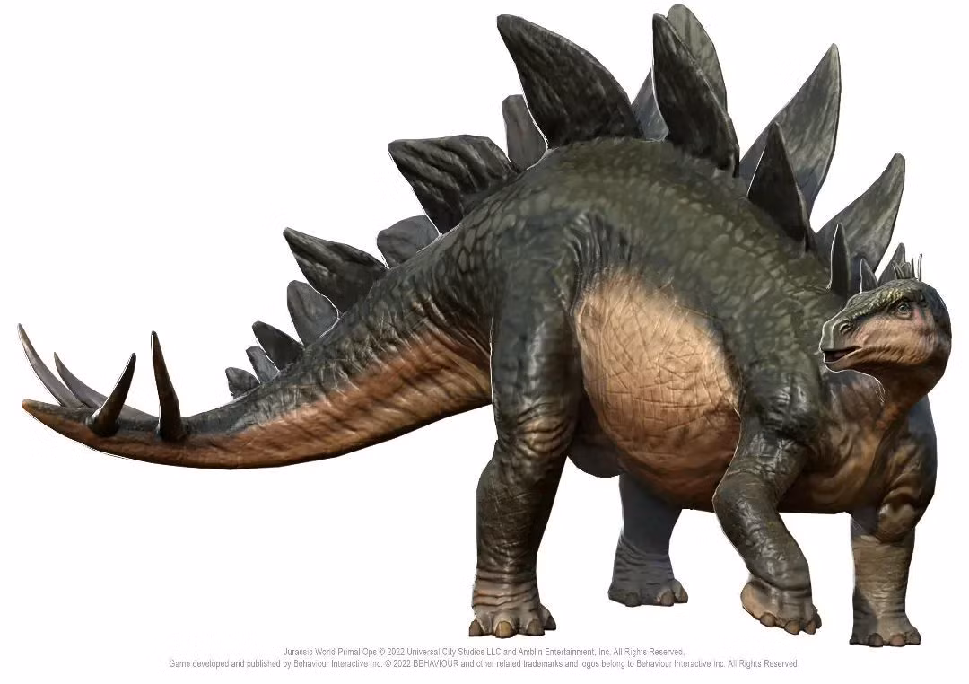  2. Chức năng của tấm xương. Mục đích của các tấm xương vẫn còn gây tranh cãi. Một số giả thuyết cho rằng chúng giúp điều hòa nhiệt độ cơ thể, trong khi những người khác nghĩ rằng chúng được dùng để đe dọa kẻ thù hoặc thu hút bạn tình. Ảnh: Pinterest.