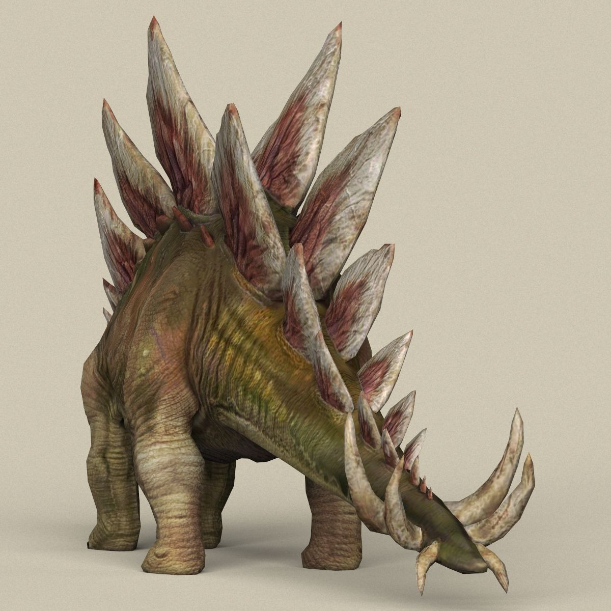  10. Thức ăn chủ yếu. Là loài ăn cỏ, Stegosaurus có chế độ ăn gồm cây dương xỉ, cây lá kim, và cây bụi thấp. Hàm răng nhỏ và yếu của nó không thể nhai cây cứng hoặc cao. Ảnh: Pinterest.