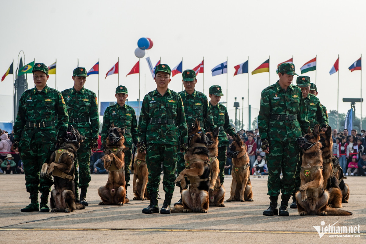 15h30 ngày 21/12, trong ngày đầu mở cửa phục vụ người dân tham quan Triển lãm Quốc phòng quốc tế Việt Nam 2024, 118 quân khuyển trình diễn hôm khai mạc đã trở lại biểu diễn phục vụ du khách.