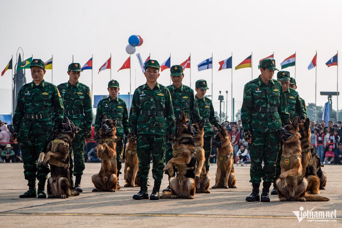 15h30 ngày 21/12, trong ngày đầu mở cửa phục vụ người dân tham quan Triển lãm Quốc phòng quốc tế Việt Nam 2024, 118 quân khuyển trình diễn hôm khai mạc đã trở lại biểu diễn phục vụ du khách.