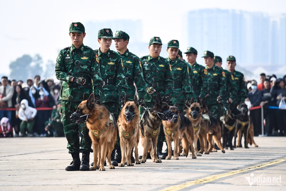 Trong tiếng reo hò của hàng trăm người, những chú chó nghiệp vụ dũng mãnh xuất hiện, bước đi theo hiệu lệnh. Trong buổi chiều 21/12, đội quân đặc biệt này đã trình diễn các kỹ năng như vượt vật cản, tấn công tội phạm, bảo vệ chủ, phát hiện nguồn hơi…