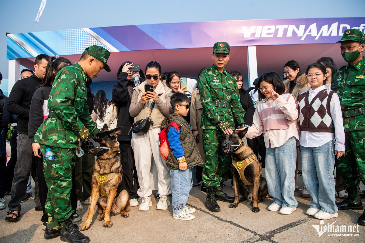 Sau phần biểu diễn, những chú chó nghiệp vụ được chụp hình, "giao lưu" cùng du khách tham quan triển lãm. Lực lượng đặc biệt này thuộc Trường Trung cấp 24 Biên phòng. Ảnh: Pinterest.