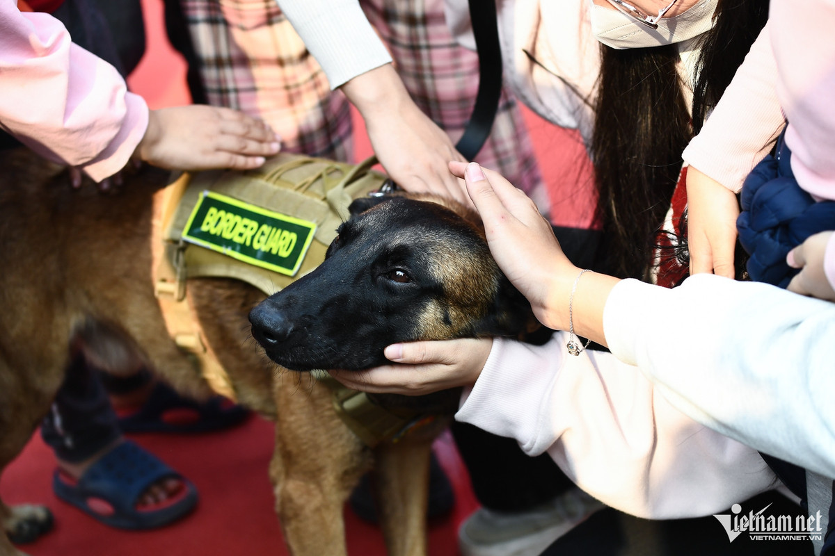 Sau phần trình diễn đẹp mắt của mình, Jack được nhiều khán giả vây quanh xoa đầu và xin chụp ảnh cùng. Chú chó chuyên nghiệp trở về với dáng vẻ thân thiện, dễ gần.