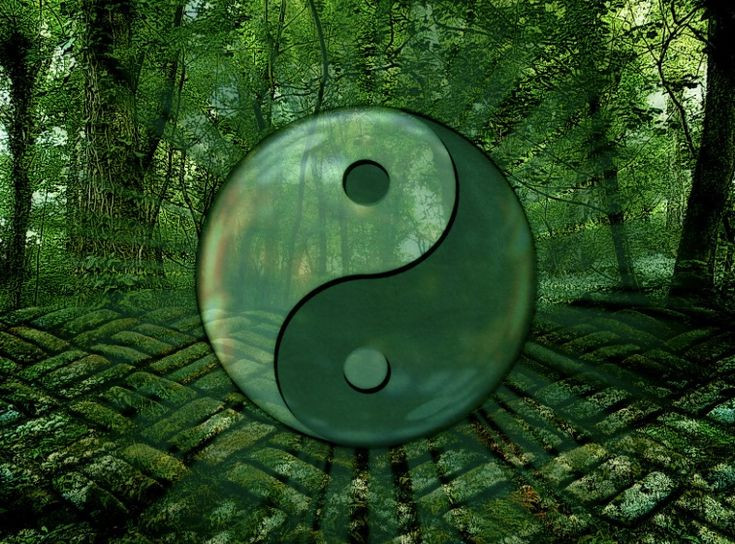  9. Không có hệ thống giáo lý chặt chẽ. Đạo Lão không có một giáo lý cố định hay một giáo phái chính thức. Nó khuyến khích cá nhân tự mình tìm hiểu và sống theo nguyên lý của Đạo. Ảnh: Pinterest.