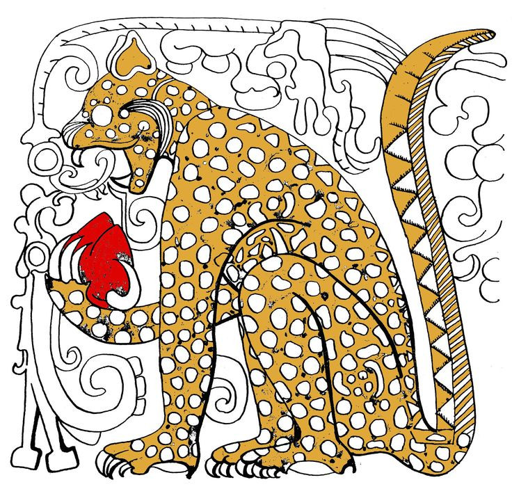  Chủ đề đa dạng: Bộ sách bao gồm thần thoại, lịch sử, y học, nghi lễ tôn giáo, thiên văn học và các dự đoán tương lai. Ảnh: Pinterest.