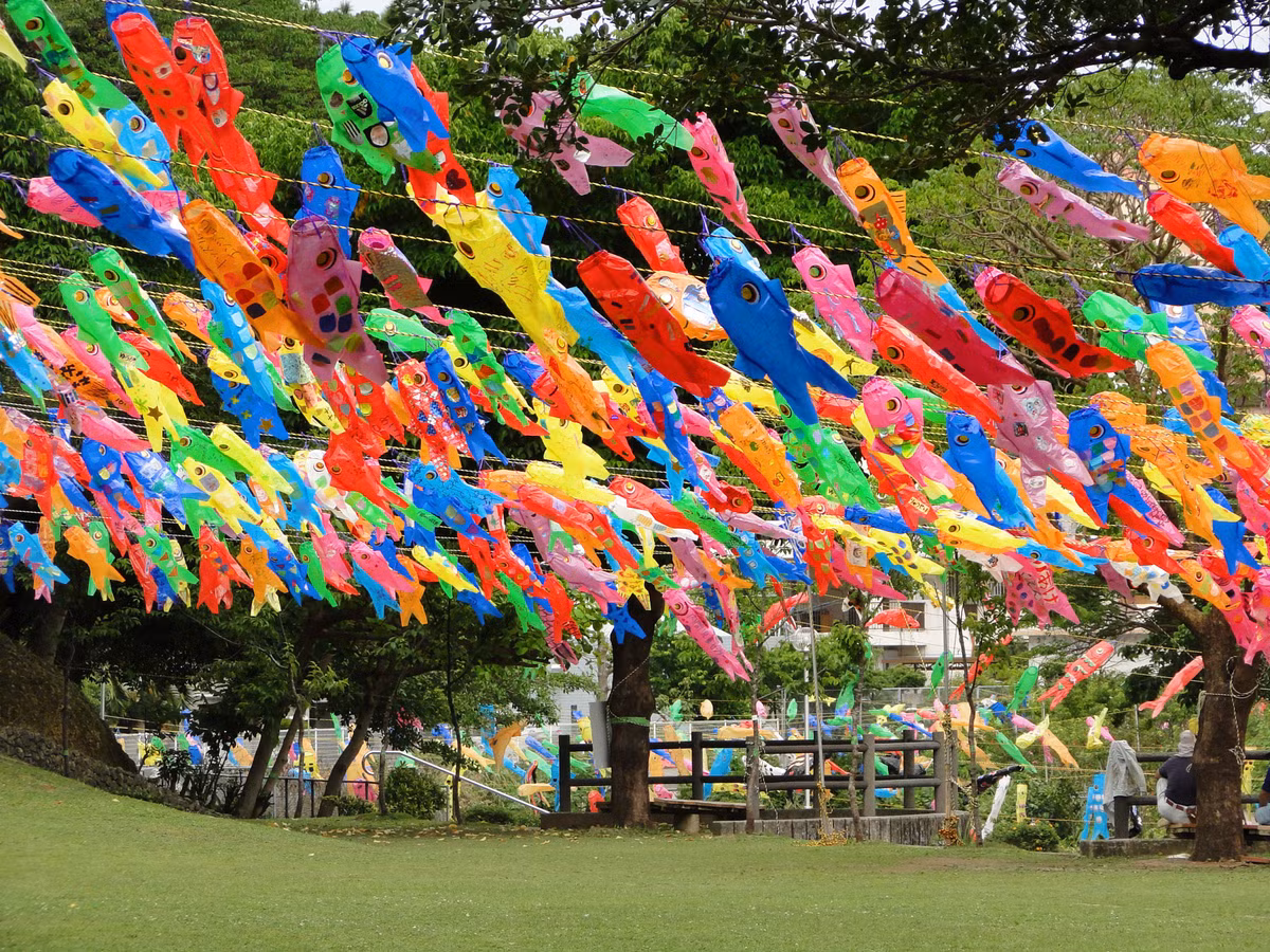  13. Cá koi và lễ hội truyền thống. Cá koi được tôn vinh trong lễ hội "Kodomo no Hi" (Ngày Trẻ Em) ở Nhật Bản, nơi các gia đình treo cờ hình cá koi để cầu may mắn cho con cái. Ảnh: Pinterest.