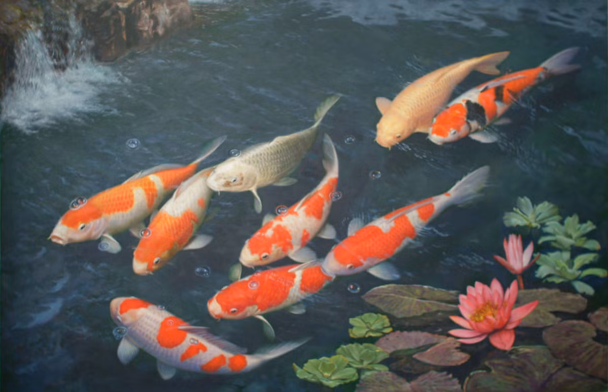  3. Biểu tượng của sự may mắn. Cá koi được coi là biểu tượng của may mắn, thịnh vượng, và trường thọ trong văn hóa Nhật Bản. Ảnh: Pinterest.