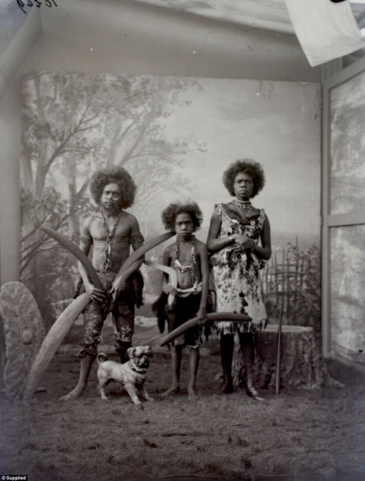  12. Thủ đoạn lôi kéo người bản địa tham gia vườn thú người. Một số người bản địa bị cưỡng ép tham gia các triển lãm, trong khi những người khác tham gia vì bị lừa hứa hẹn cuộc sống tốt hơn. Ảnh: Pinterest.