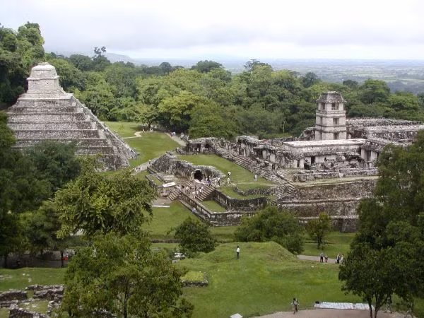  14. Sự biến mất bí ẩn. Sự sụp đổ của các thành bang Maya vào thế kỷ thứ 9 vẫn là một bí ẩn, với nhiều giả thuyết về hạn hán, xung đột nội bộ, hoặc khai thác tài nguyên quá mức. Ảnh: Pinterest.