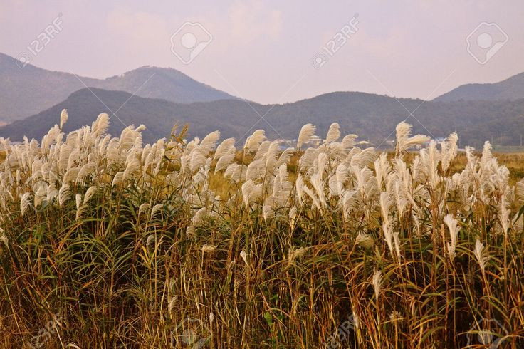  Hành trình qua thế giới ngầm: Theo quan niệm của người Ai Cập cổ, người chết phải vượt qua nhiều thử thách và cạm bẫy trong thế giới ngầm để đến được "Cánh đồng Sậy" (Aaru) – một dạng thiên đường. Ảnh: Pinterest.