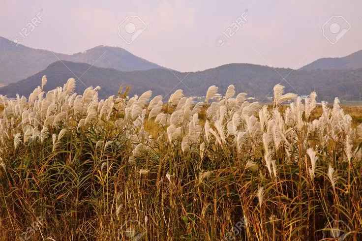  Hành trình qua thế giới ngầm: Theo quan niệm của người Ai Cập cổ, người chết phải vượt qua nhiều thử thách và cạm bẫy trong thế giới ngầm để đến được "Cánh đồng Sậy" (Aaru) – một dạng thiên đường. Ảnh: Pinterest.