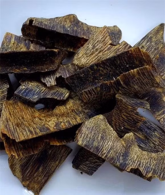 Theo thông tin được chia sẻ, chất lỏng này không phải là một chất chăm sóc thực vật, nó là một chất độc được thiết kế để kích hoạt cơ chế bảo vệ của cây, để làm cho cây trở thành 'Gỗ đắt nhất thế giới', đó chính là trầm hương - một loại gỗ thơm rất quý hiếm. Nó được sử dụng trong ngành công nghiệp nước hoa và hương thơm độc đáo. Được biết, hương thơm nồng nàn của nó có giá trị đắt nhất thế giới.