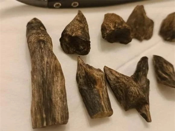 Vì vậy, phương pháp là tiêm nọc độc vào cây để chúng tạo ra dầu trong gỗ cho đến khi trở thành loại gỗ đắt nhất thế giới. Tuy nhiên, trầm hương vườn có thể không đắt bằng trầm hương rừng. Alan Mahaffey, thương gia trầm hương nói: “Đó là loại gỗ hiếm nhất trên thế giới. Hiếm hơn titan, uranium, bạch kim hoặc kim cương, nó có thể có giá lên tới 10.000 đô la chỉ cho một gam”.