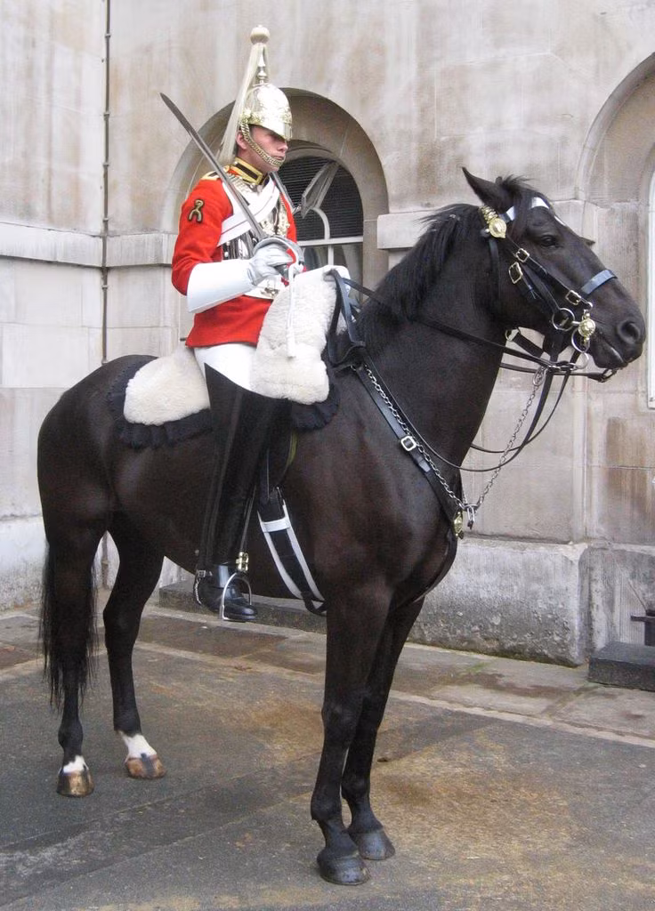  14. Truyền thống và danh dự. Kỵ binh không chỉ là lực lượng chiến đấu mà còn mang tính biểu tượng, đại diện cho danh dự và sức mạnh quân sự trong nhiều nền văn hóa. Ảnh: Pinterest.