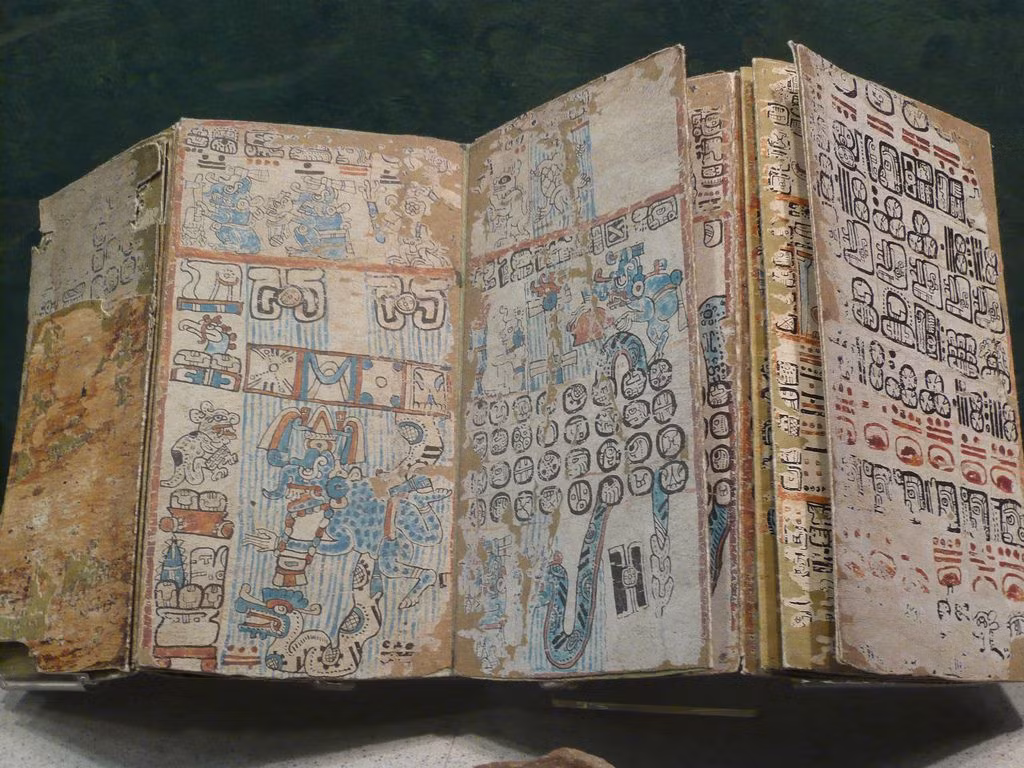  13. Cách đọc các bản viết tay. Các codices được đọc từ phải sang trái, từ trên xuống dưới, và thường được gấp lại theo dạng như đàn accordion. Ảnh: Pinterest.