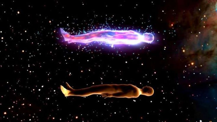  4. Thí nghiệm mở rộng trên động vật. MacDougall cũng thực hiện thí nghiệm tương tự trên 15 con chó. Ông không ghi nhận bất kỳ sự thay đổi trọng lượng nào khi chó chết và kết luận rằng động vật không có linh hồn. Ảnh: Pinterest.