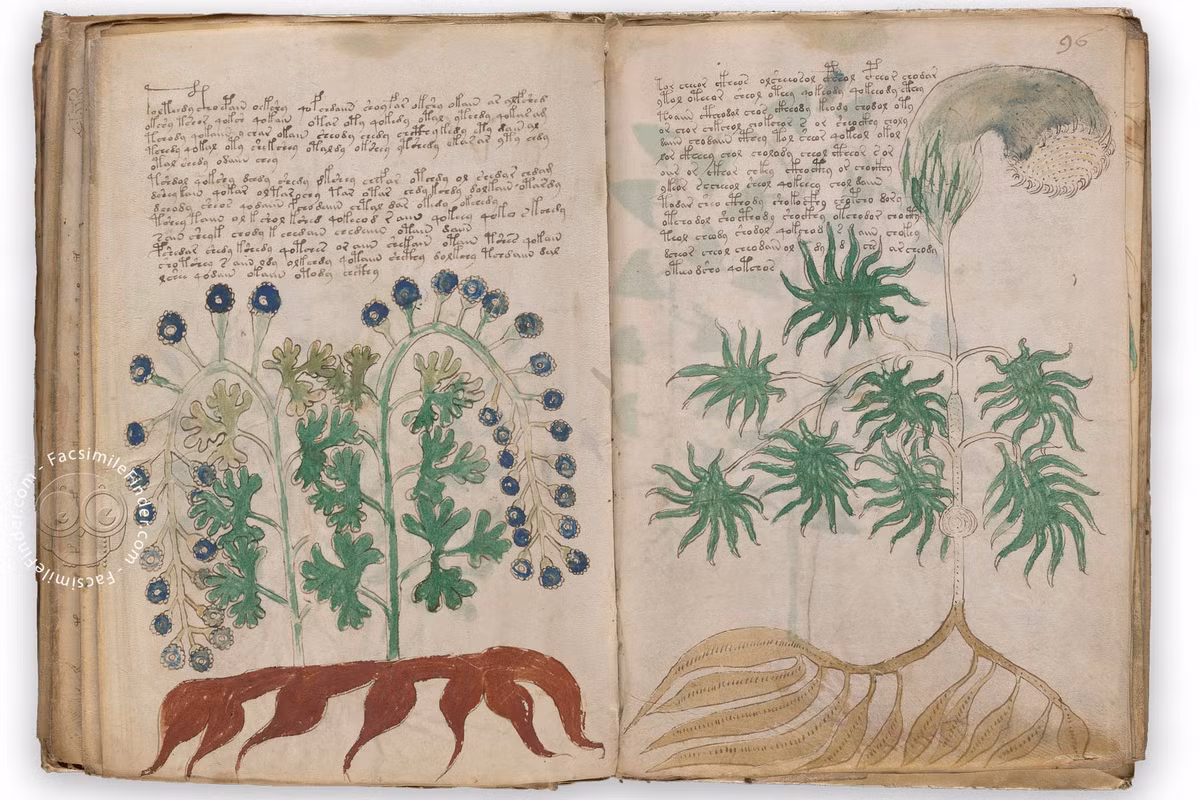  2. Tên gọi từ người phát hiện. Cuốn sách được đặt theo tên của Wilfrid Voynich, nhà buôn sách đã mua nó từ một thư viện dòng Tên ở Ý. Ảnh: Pinterest.