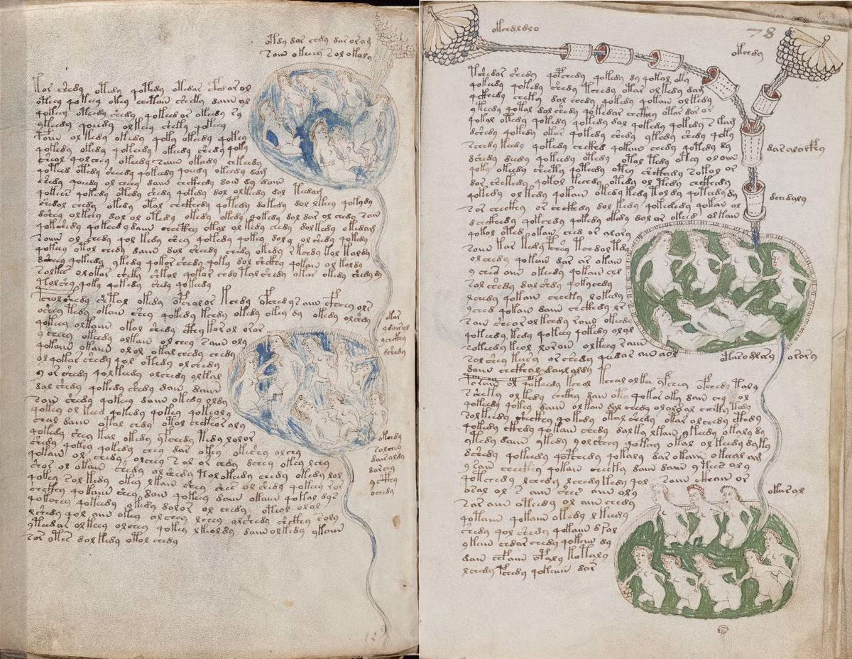  11. Không phải là một trò lừa đảo hiện đại. Phân tích cho thấy bản thảo không phải là trò lừa đảo hiện đại, vì mực và vật liệu của nó hoàn toàn phù hợp với thời kỳ trung cổ. Ảnh: Pinterest.