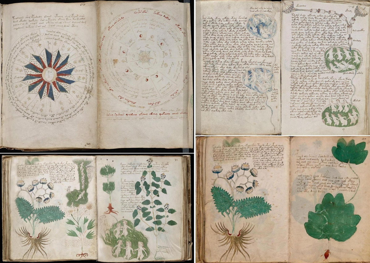  14. Có thể không mang ý nghĩa gì. Một số nhà nghiên cứu cho rằng Bản thảo Voynich có thể là một "hoax" thời trung cổ – một cuốn sách vô nghĩa được tạo ra để bán kiếm lời. Ảnh: Pinterest.
