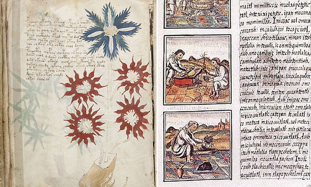  8. Nội dung phân thành nhiều phần. Bản thảo có thể được chia thành 6 phần: thực vật học, thiên văn, sinh học, dược lý, công thức hóa học, và phần cuối không rõ. Ảnh: Pinterest.