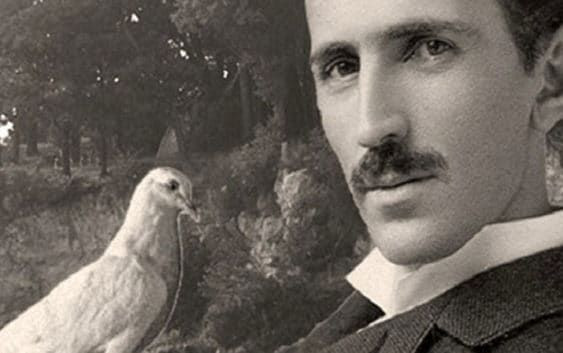 4. Tình yêu với chim bồ câu. Tesla không bao giờ kết hôn, nhưng ông yêu thích và chăm sóc chim bồ câu, đặc biệt là một con chim trắng mà ông cho là "bạn tâm giao". Ảnh: Pinterest.