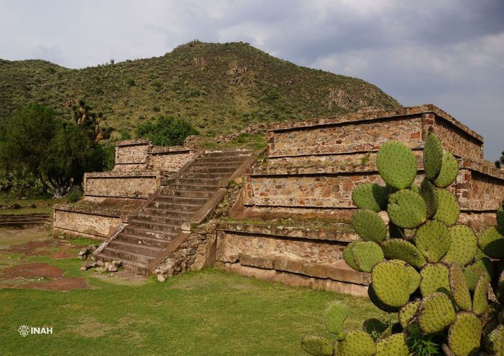  Biểu tượng văn hóa: Xương rồng xuất hiện trong nhiều văn hóa bản địa ở châu Mỹ, như người Aztec và Maya, thường được coi là biểu tượng của sức mạnh và khả năng sinh tồn. Ảnh: Pinterest.