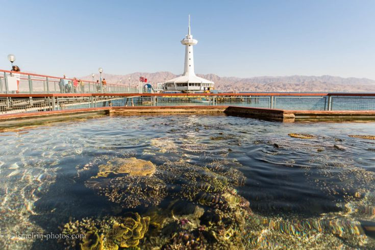  13. Khí hậu đa dạng. Israel có diện tích nhỏ nhưng sở hữu khí hậu rất đa dạng: từ sa mạc khô nóng ở miền Nam, đến vùng đất xanh mát và thậm chí có tuyết vào mùa đông ở một số khu vực miền Bắc. Ảnh: Pinterest.