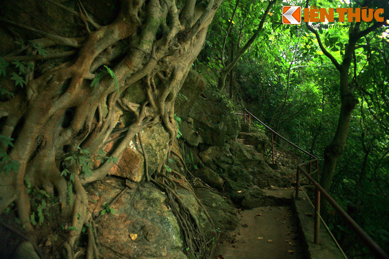 3. Động Sơn Mộc Hương, còn gọi là hang Dơi nằm trên một sườn núi thuộc thị trấn Mộc Châu, huyện Mộc Châu, tỉnh Sơn La, để lên được hang động, du khách phải vượt qua 240 bậc thang với chiều cao khoảng 100m.