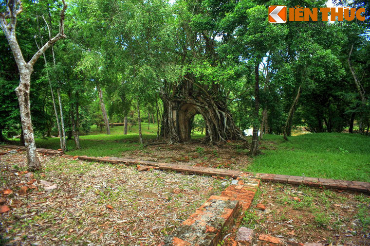 Phía sau cánh cổng bị cây "nuốt" là tàn tích nền móng của Tả tùng phòng. Công trình này từng là một khu nhà 3 gian, 2 chái, được xây làm nơi các thái giám ăn ở mỗi khi hộ giá vua lên thăm lăng.