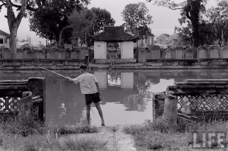 Một cậu bé Hà Nội câu cá ở giếng Thiên Quang trong khu du tích Văn Miếu - Quốc Tử Giám.