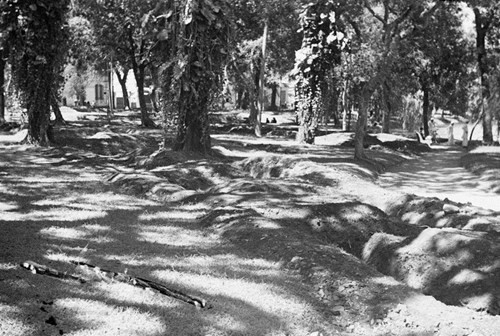 Vườn hoa bên hồ Hoàn Kiếm chằng chịt hệ thống hầm hào quân sự.