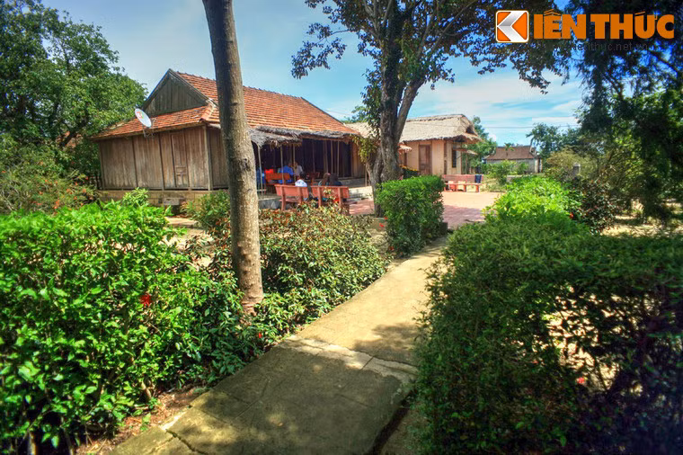 Dậu dâm bụt được trồng hai bên lối đi...