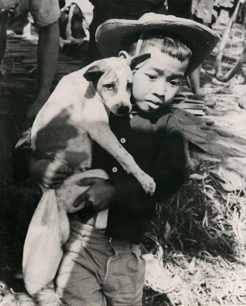 Em bé này bế theo cả chú chó của mình khi đi di tản.