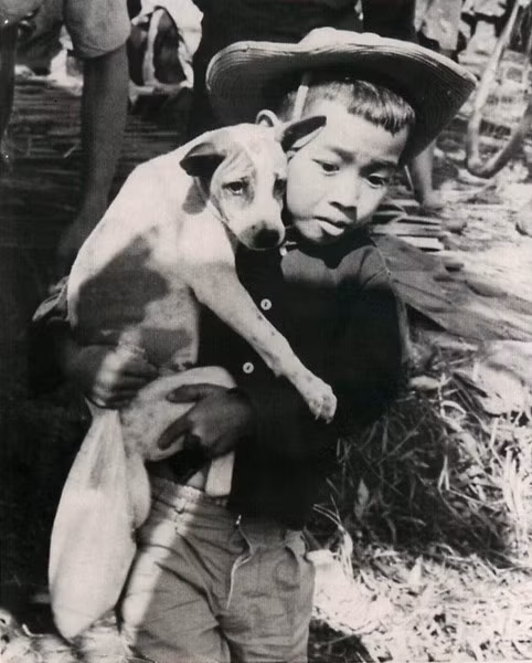 Em bé này bế theo cả chú chó của mình khi đi di tản.