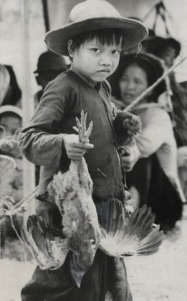 Cầm trong tay một chú gà sống, em bé này là một trong hàng trăm thường dân đi di tản khi binh sĩ Mỹ mở một cuộc tấn công vào các đơn vị của quân Giải phóng dọc duyên hải miền Trung Việt Nam, ngày 11/4/1967.