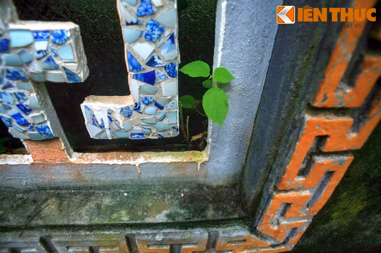 Nếu không được tu bổ, chẳng bao lâu nữa những nhà cổ này sẻ trở thành nơi cư ngụ của các loài cây dại.