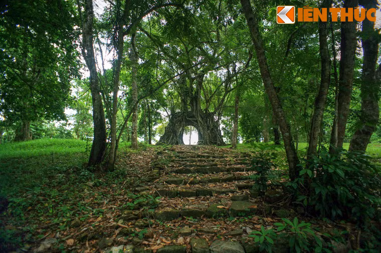 Trong khuôn viên lăng vua Minh Mạng ở Huế có một di tích độc đáo nhưng ít người biết đến, đó là Tả tùng phòng trên núi Tịnh Sơn.