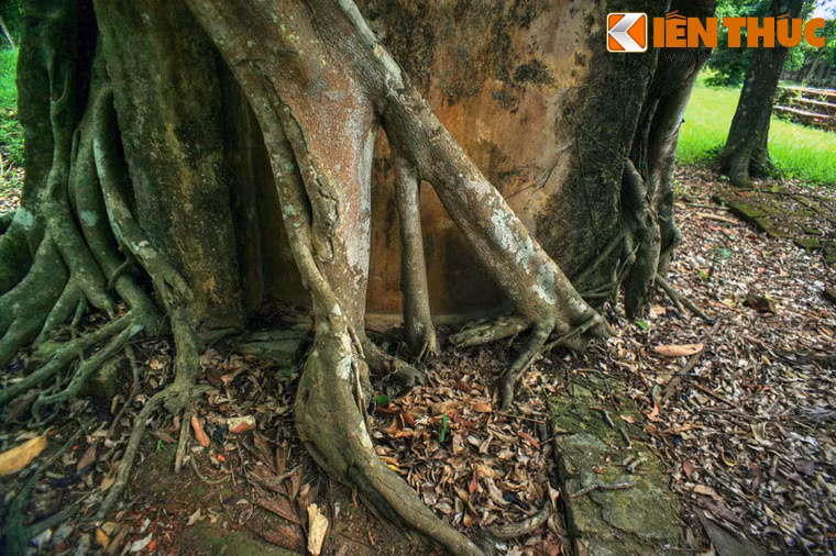 Công trình này từng là một khu nhà 3 gian, 2 chái, được xây làm nơi các thái giám ăn ở mỗi khi hộ giá vua lên thăm lăng.