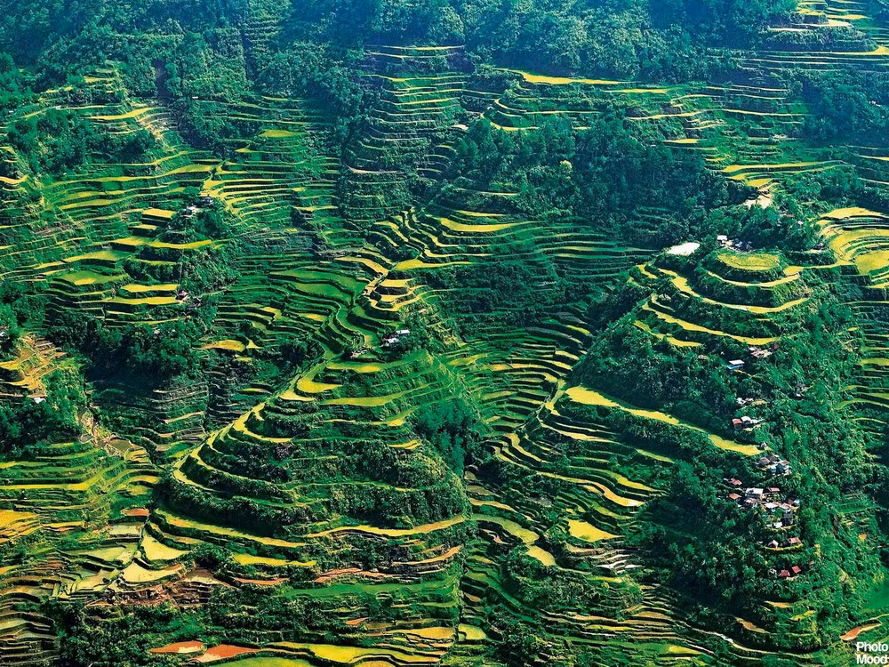 Những thửa ruộng này đã được bộ lạc người Ifugao tạc vào sườn núi từ khoảng 2.000-3.000 năm trước để trồng lúa. Công việc này vẫn kéo dài cho đến nay.