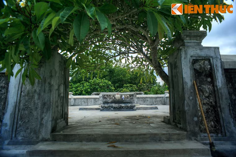 Cổng vào mộ được che phủ bởi tán của một cây hoa đại.