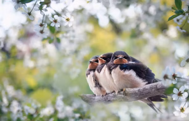 Nguoi sinh thang Am lich ben ngoai don gian, ben trong tri tue, kiem tien dinh-Hinh-4