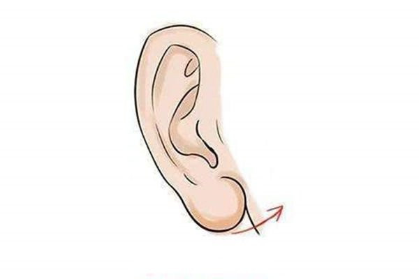 Ai lấy được đàn ông có 1 trong 4 nét tướng này, cả đời giàu - Hình 2 Ai lay duoc dan ong co 1 trong 4 net tuong nay, ca doi giau-Hinh-2