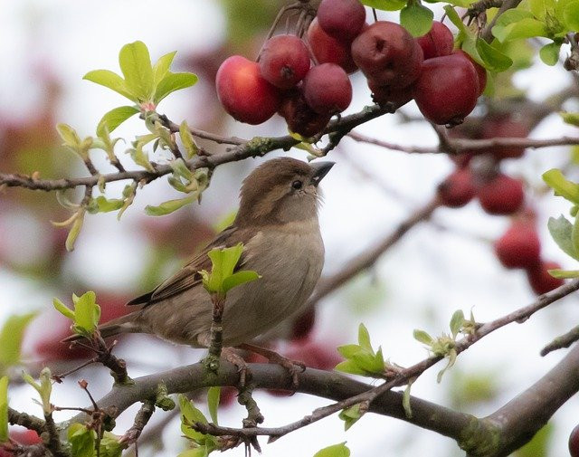 Ai co gio sinh nay yeu tien qua muc, kiem tien dinh, so menh giau sang