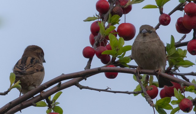Ai co gio sinh nay yeu tien qua muc, kiem tien dinh, so menh giau sang-Hinh-4