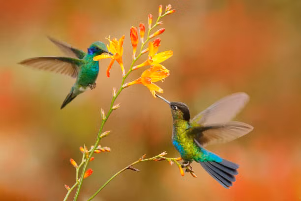 Ai sinh thang Am lich nay, doi thang tram, vinh hoa phu quy khong tu den-Hinh-2